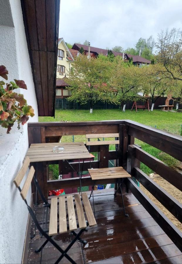 Pensiunea Tobo Baia de Fier Exteriör bild