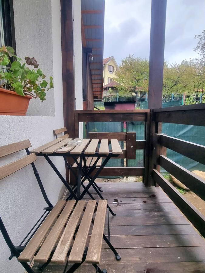 Pensiunea Tobo Baia de Fier Exteriör bild