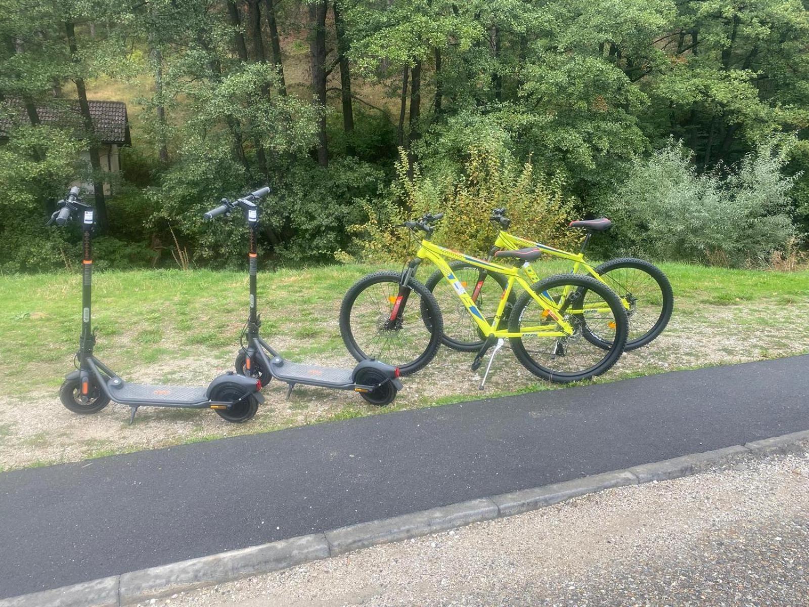 Pensiunea Tobo Baia de Fier Exteriör bild