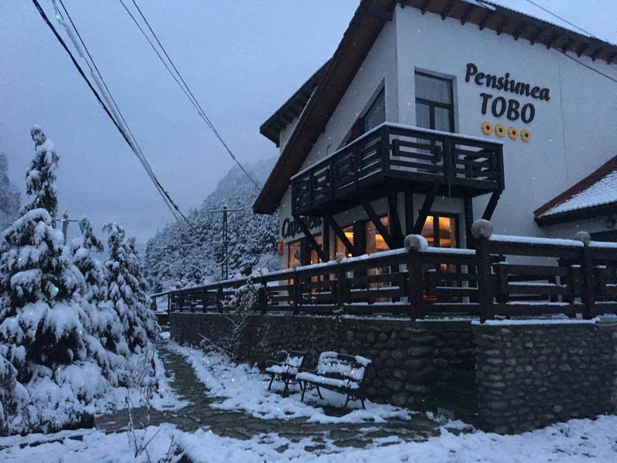 Pensiunea Tobo Baia de Fier Exteriör bild